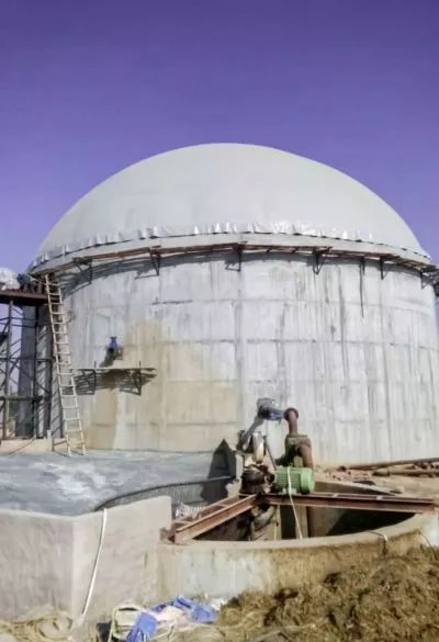 bio gas domes